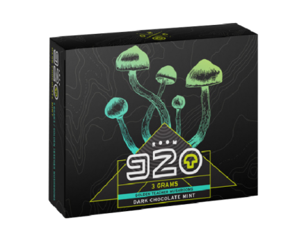 Room 920 Mushroom Chocolate Bar